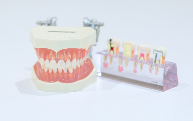 歯科用器具の画像